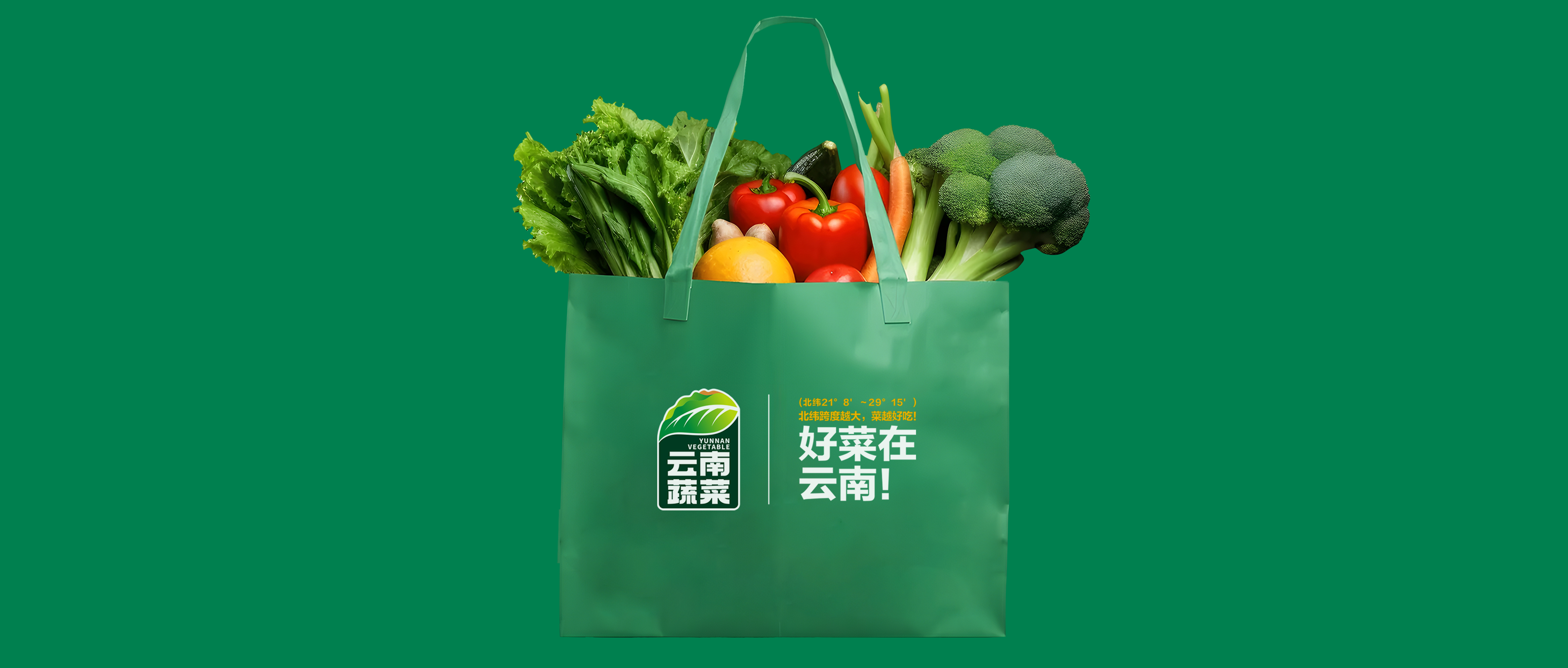 好菜在云南——云南蔬菜區(qū)域公用品牌設計、策劃紀實